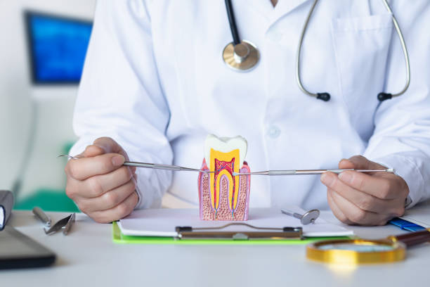 Best Emergency Gum Treatment in Nellis Af, NV